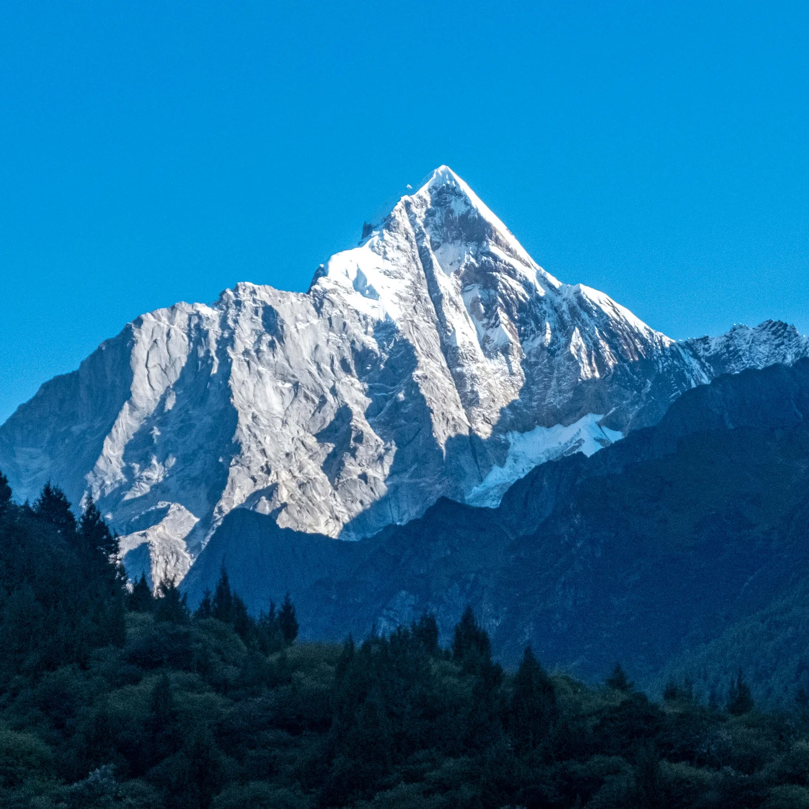 蓝天下的雪峰与山脚森林
