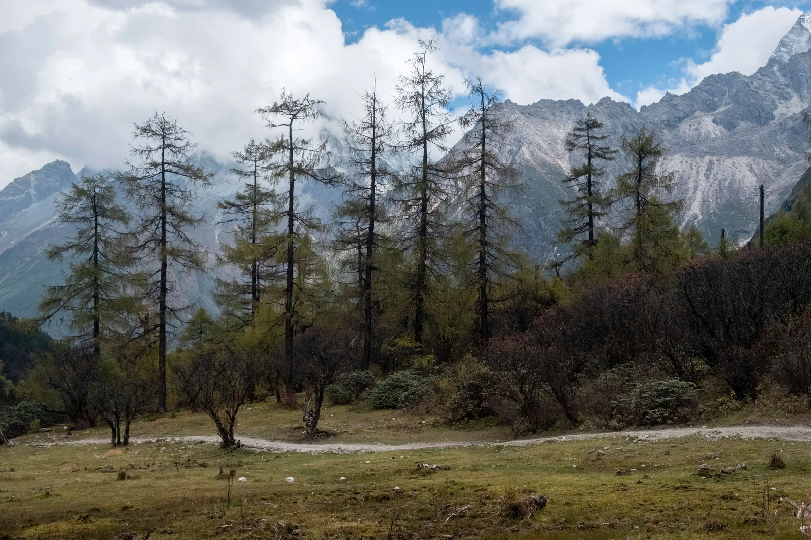 云层下的山谷草地与疏林