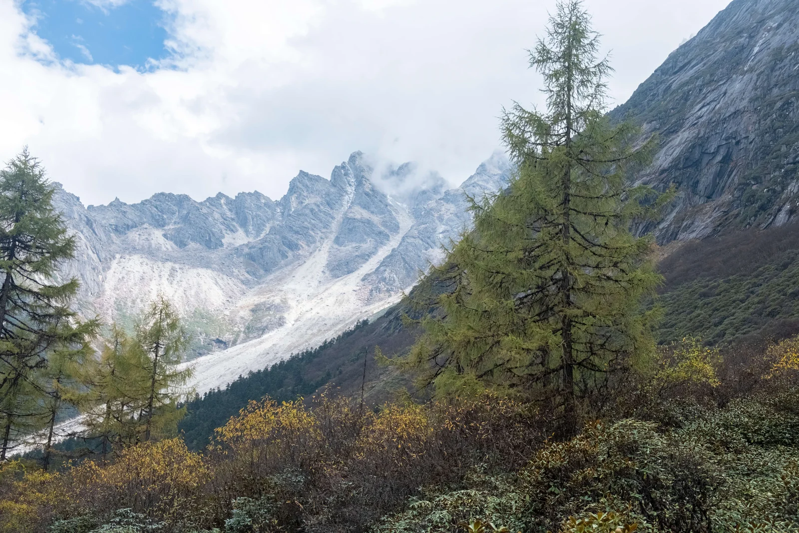 山谷中的秋色树林与远处山峰